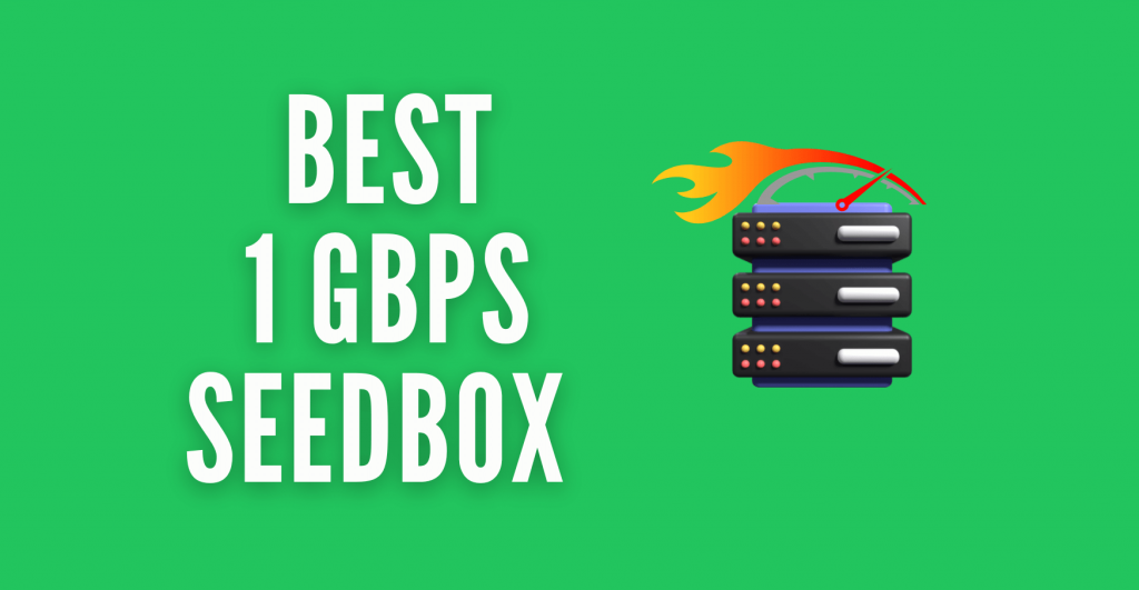 1Gbps Seedbox