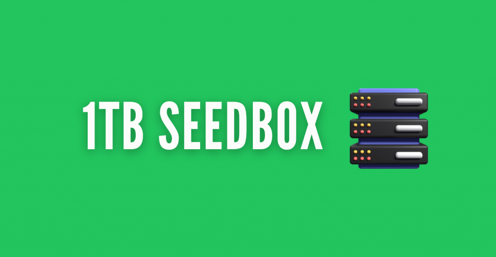 1TB Seedbox