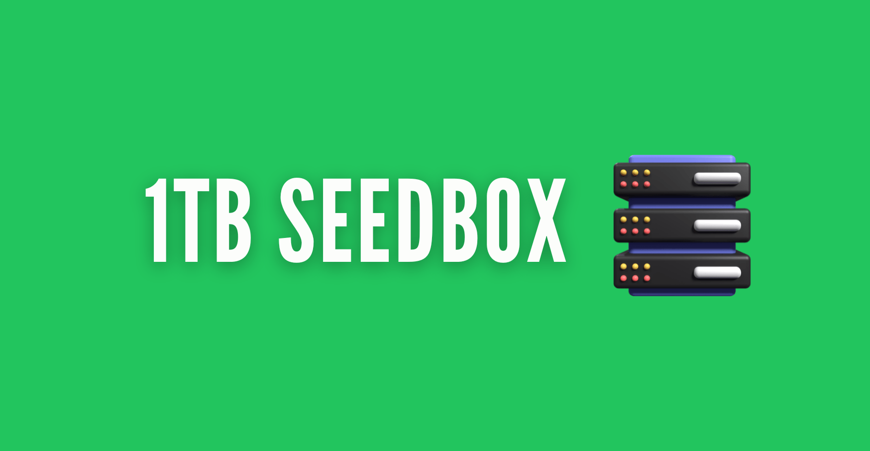 1TB Seedbox