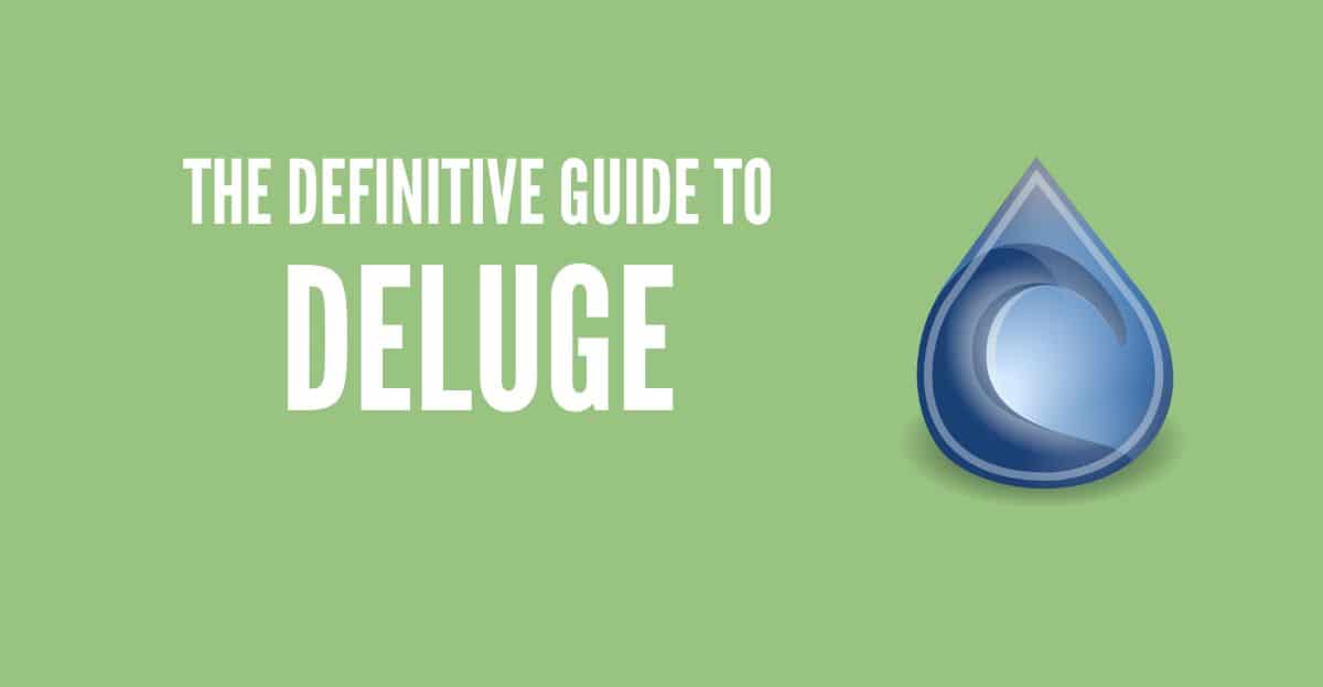 The Definitive Guide to Deluge (2024 Update)
