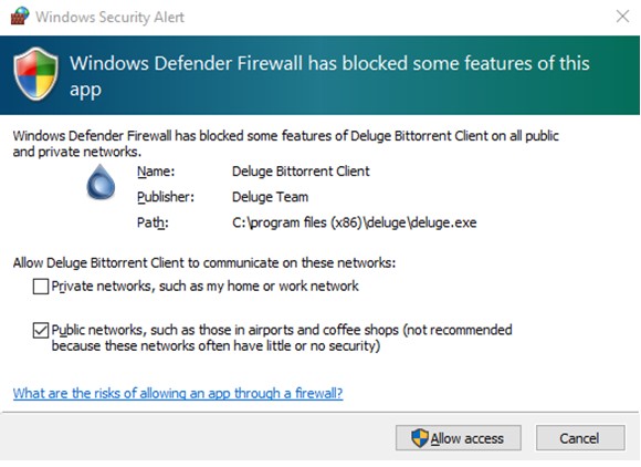 Windows Deluge installer step 3  making a buypass through firewall