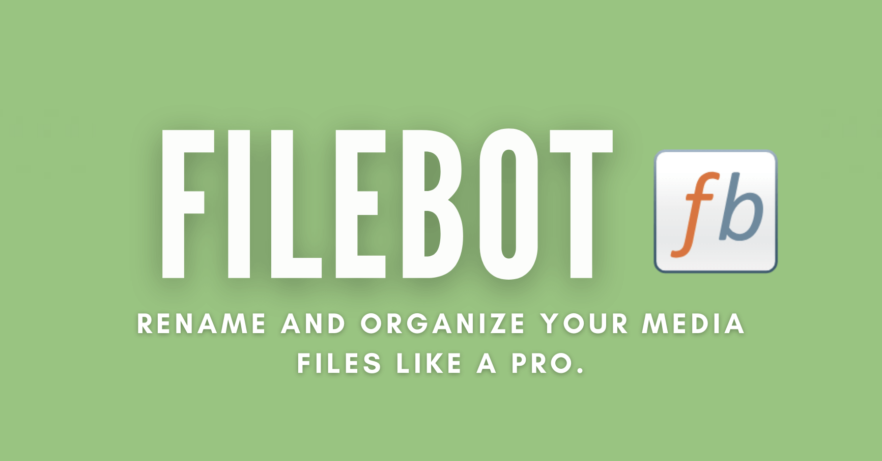 Filebot guide