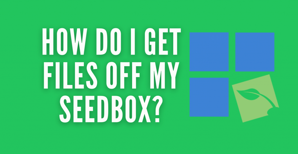 How Do I Get Files Off my Seedbox