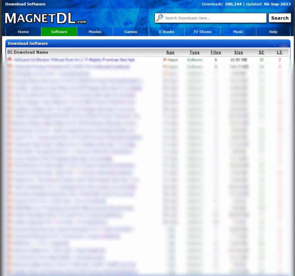 Magnet DL software
