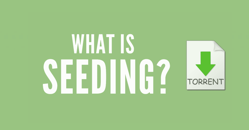 what is seeding?