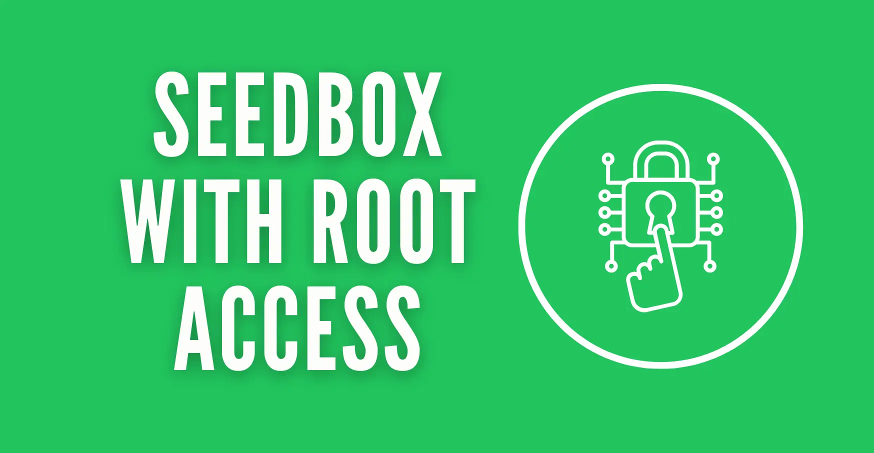 Seedbox with Root Access