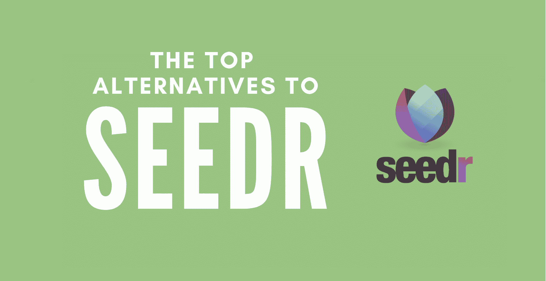 alternatives to seedr