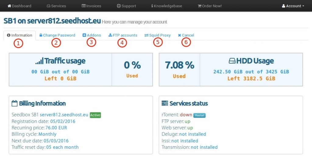 Seedhost.eu Interface