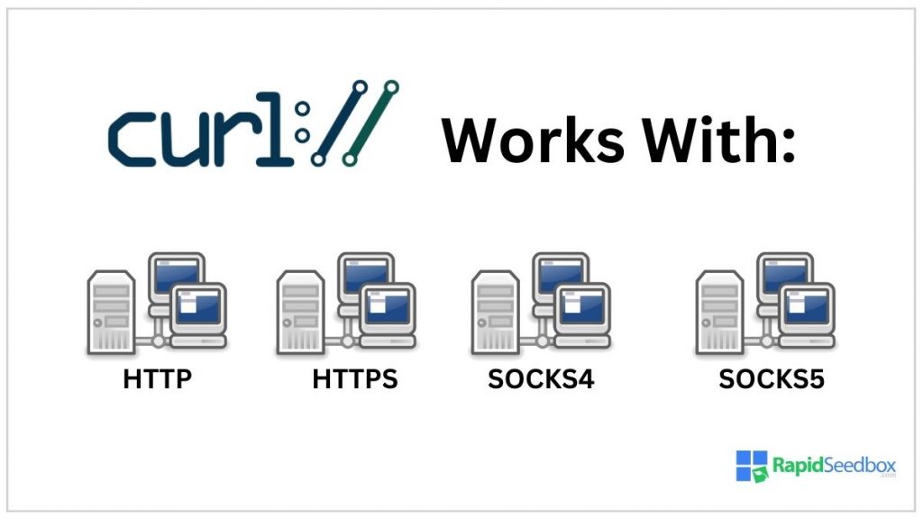 cURL works with multiple protocols like HTTP, HTTPS, and SOCKS