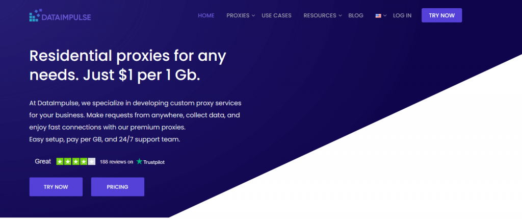 dataimpulse homepage
