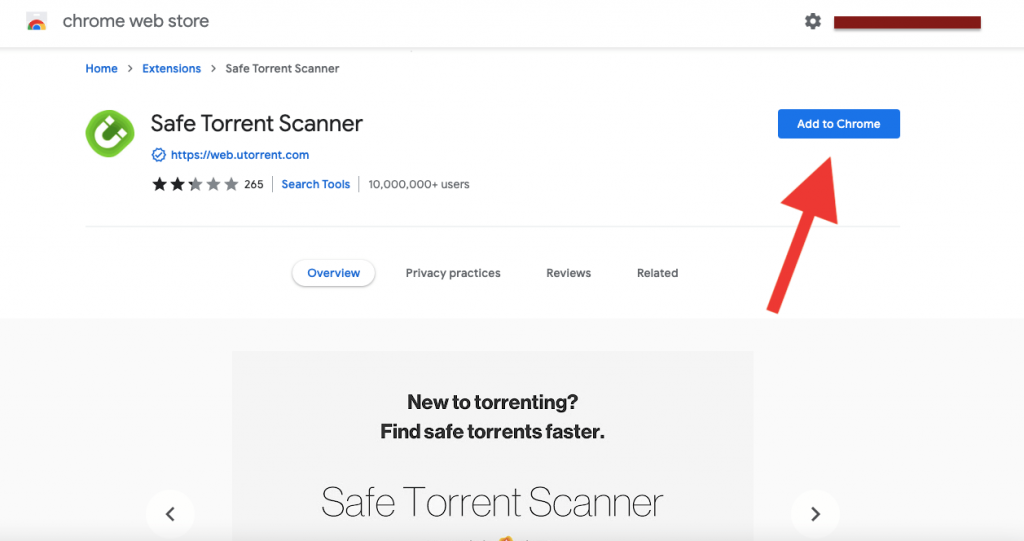 installing Safe Torrent Scanner
