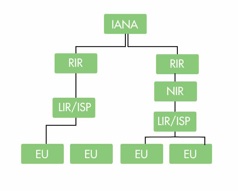 IANA IP address allocation hierarchy.