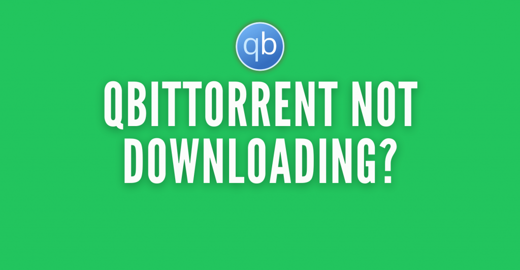 qbittorrent not downloading