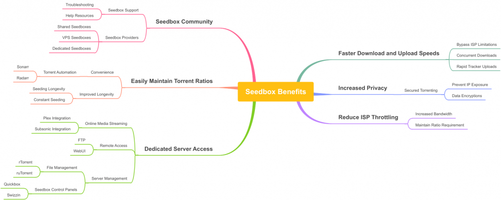 seedbox benefits