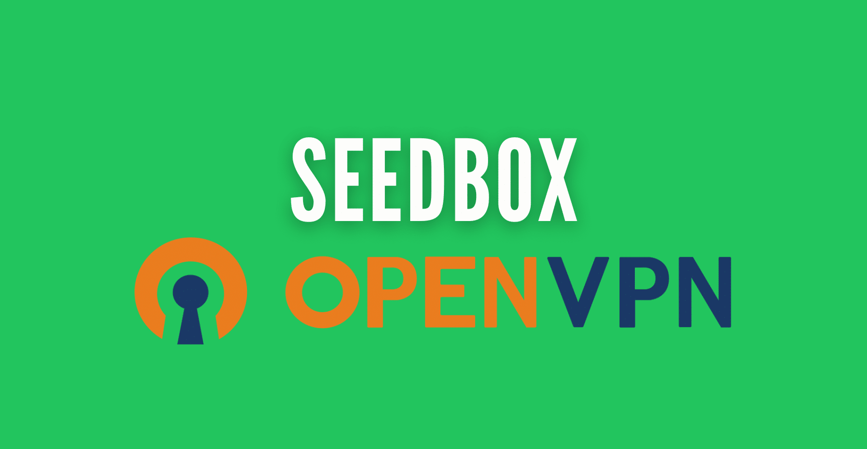 seedbox openvpn