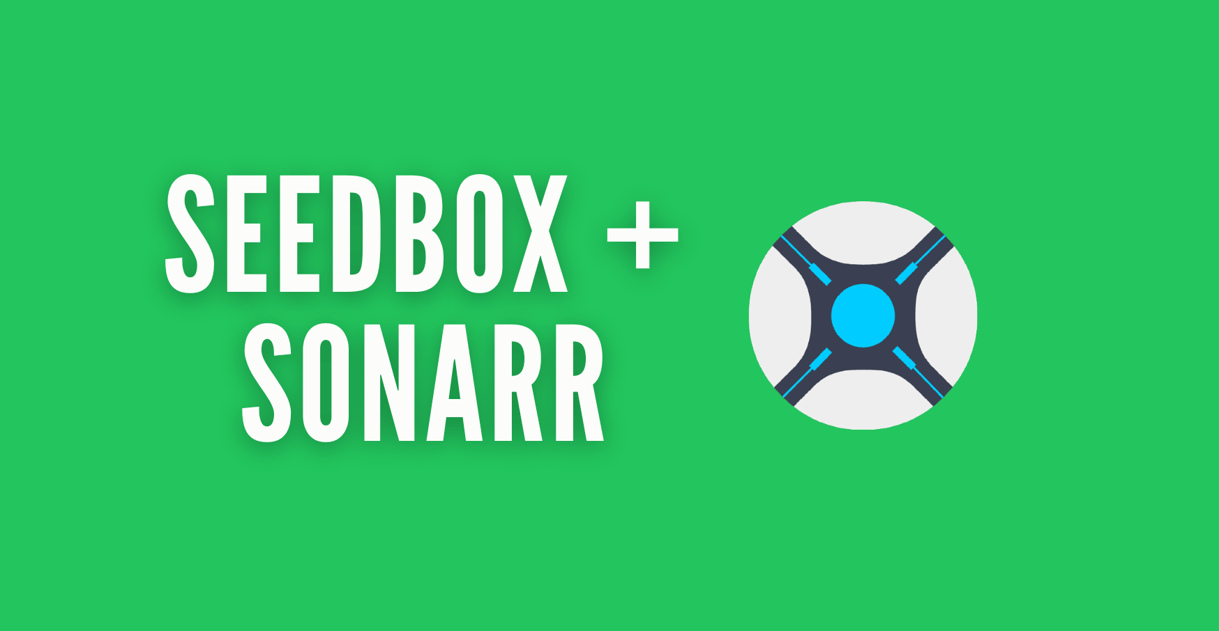 seedbox sonarr
