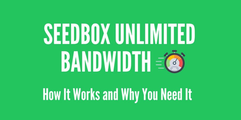 Seedbox Unlimited Bandwidth: How It Works and Why You Need It