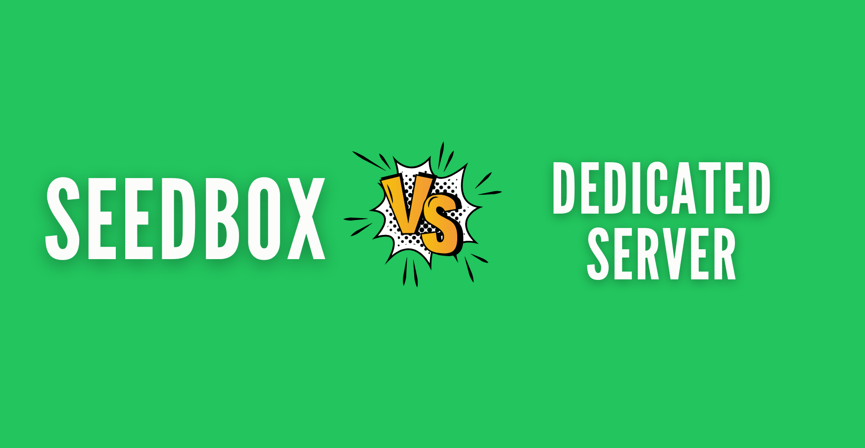 seedbox vs dedicated server