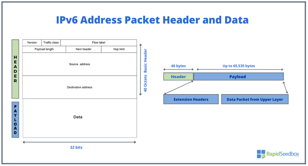 packet header and payload